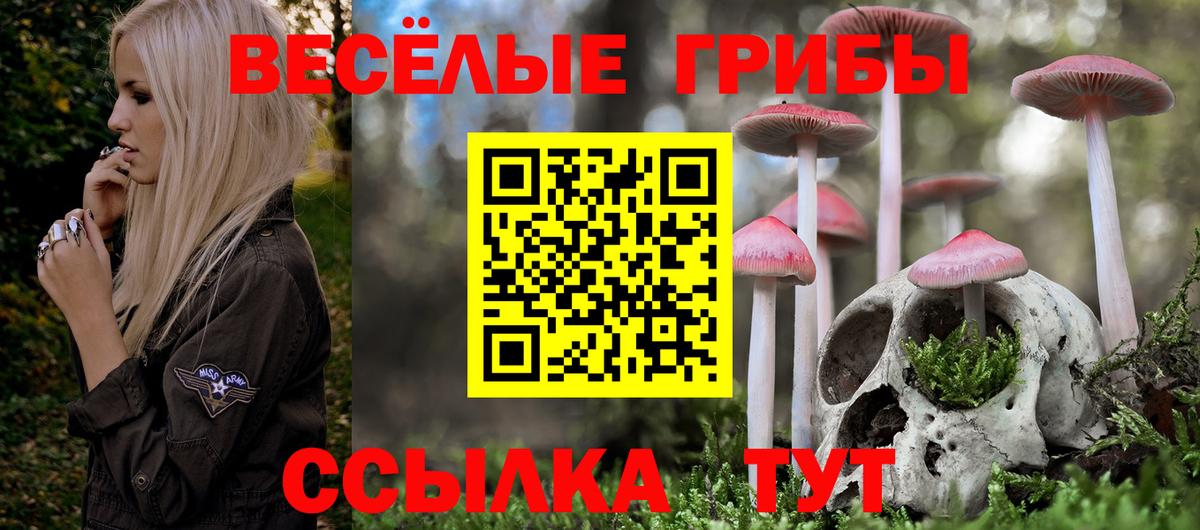 Галлюциногенные грибы Cubensis  Вход с VPN  Галлюциногенные грибы мицелий  Тверь 